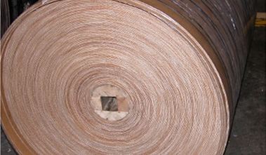 Cintas Transportadoras